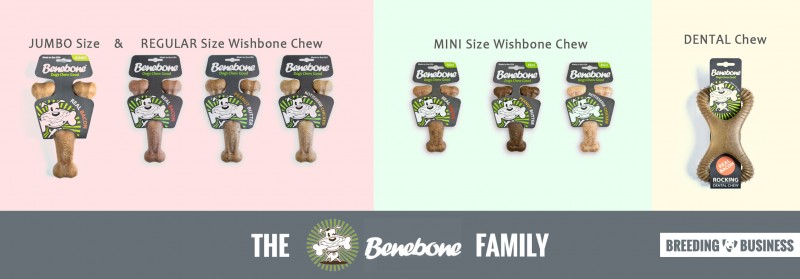 Benebone Review: full range of chew toys products