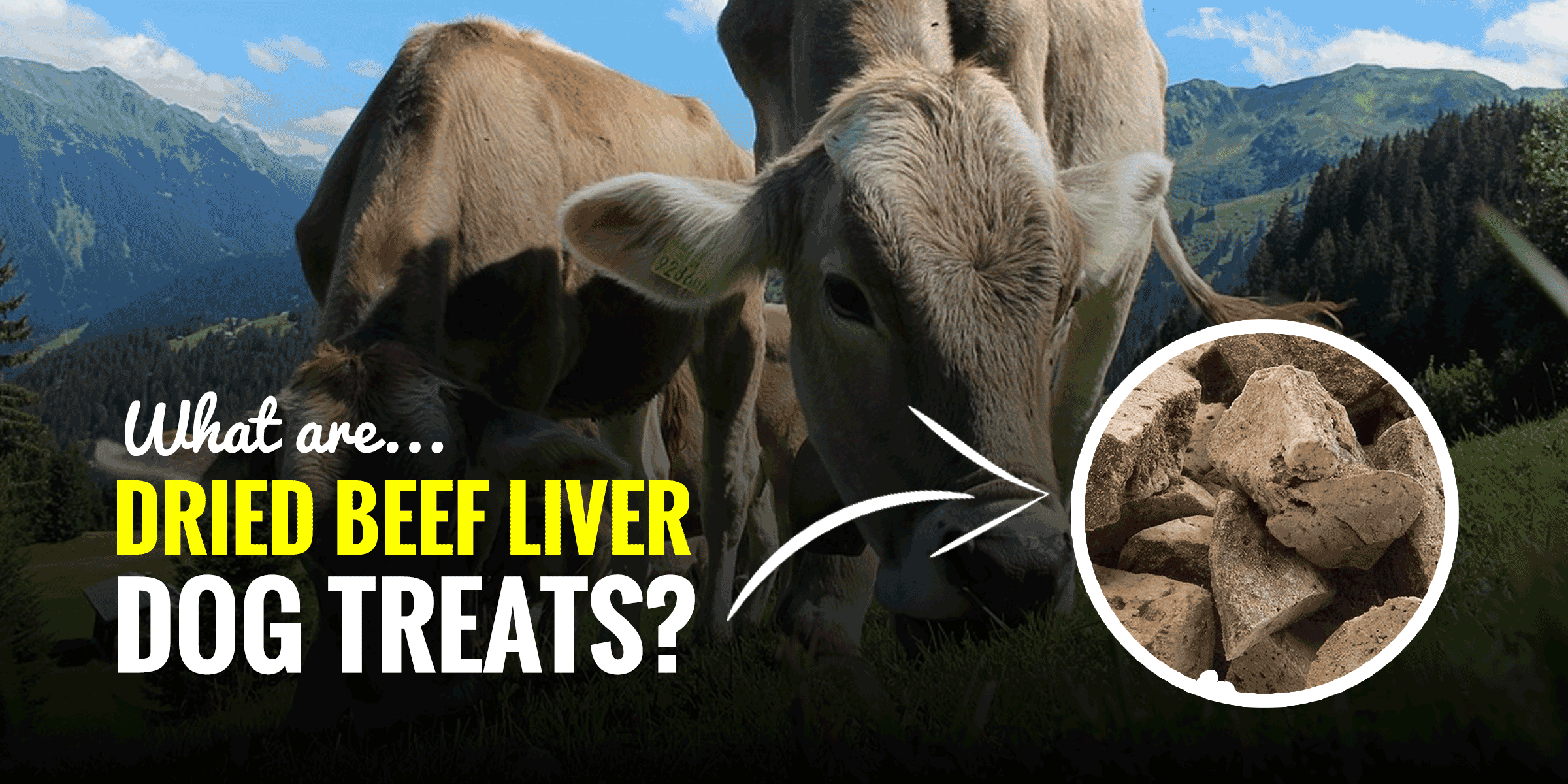 dried meat dog treats