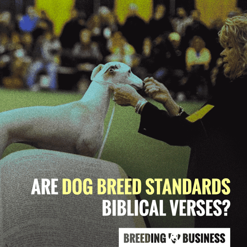 dog breed standards