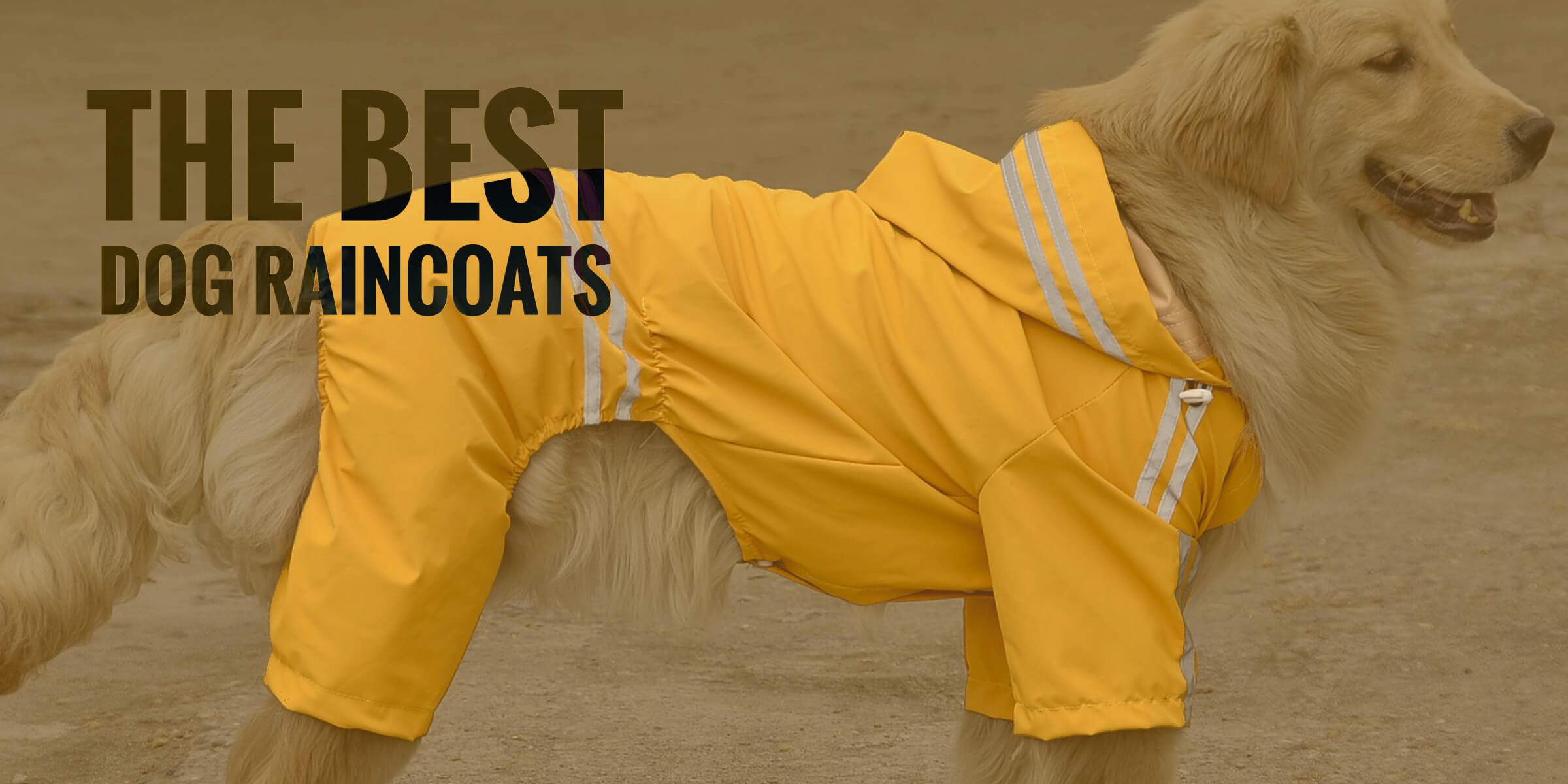 Best Waterproof Dog Raincoats With Hood 