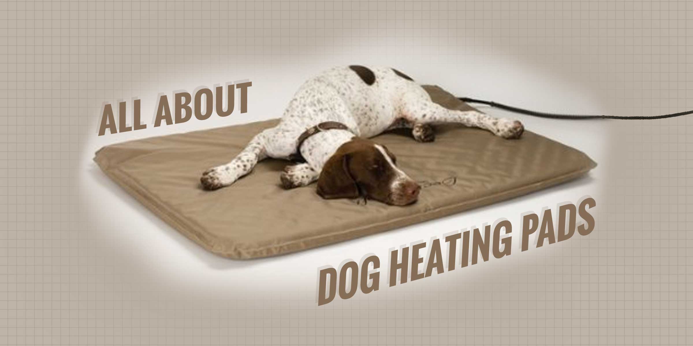 Dog Heating Pads — Buying Guide + Best Reviews
