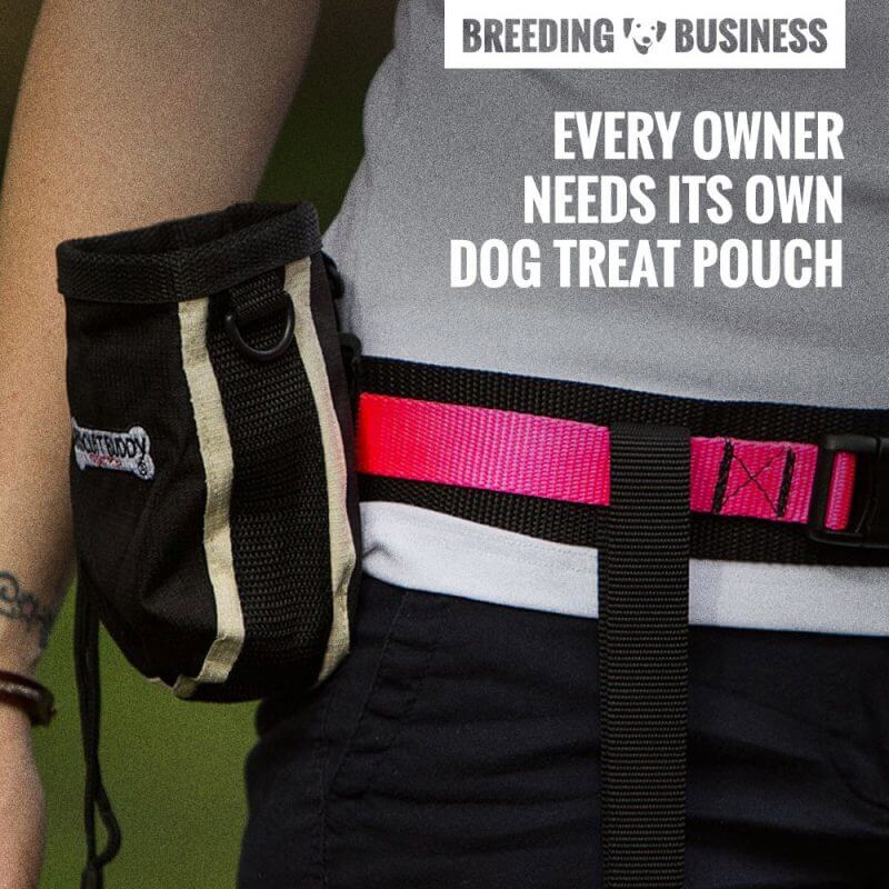 dog treat pouch quote