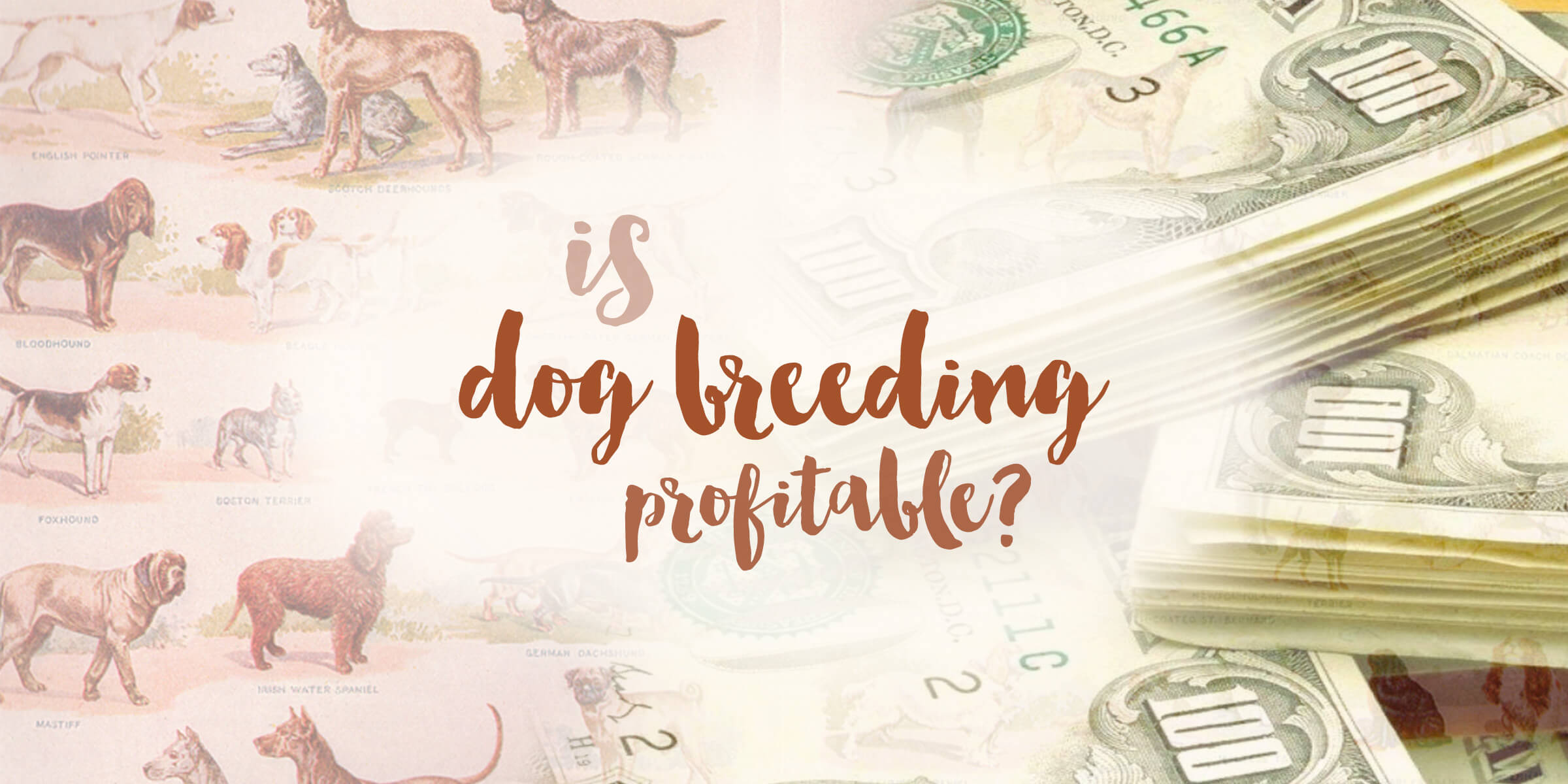 best dogs to breed for profit 2018
