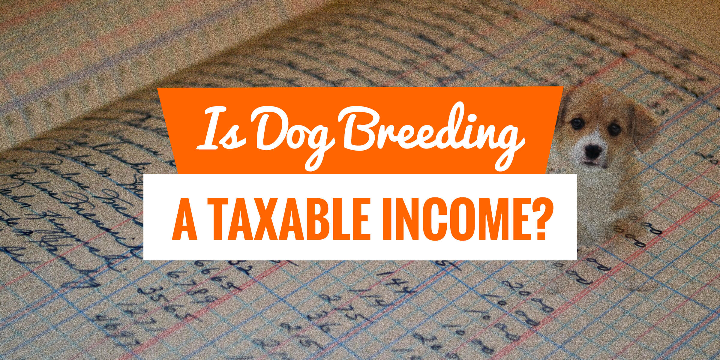 Is Dog Breeding a Taxable In The United States?