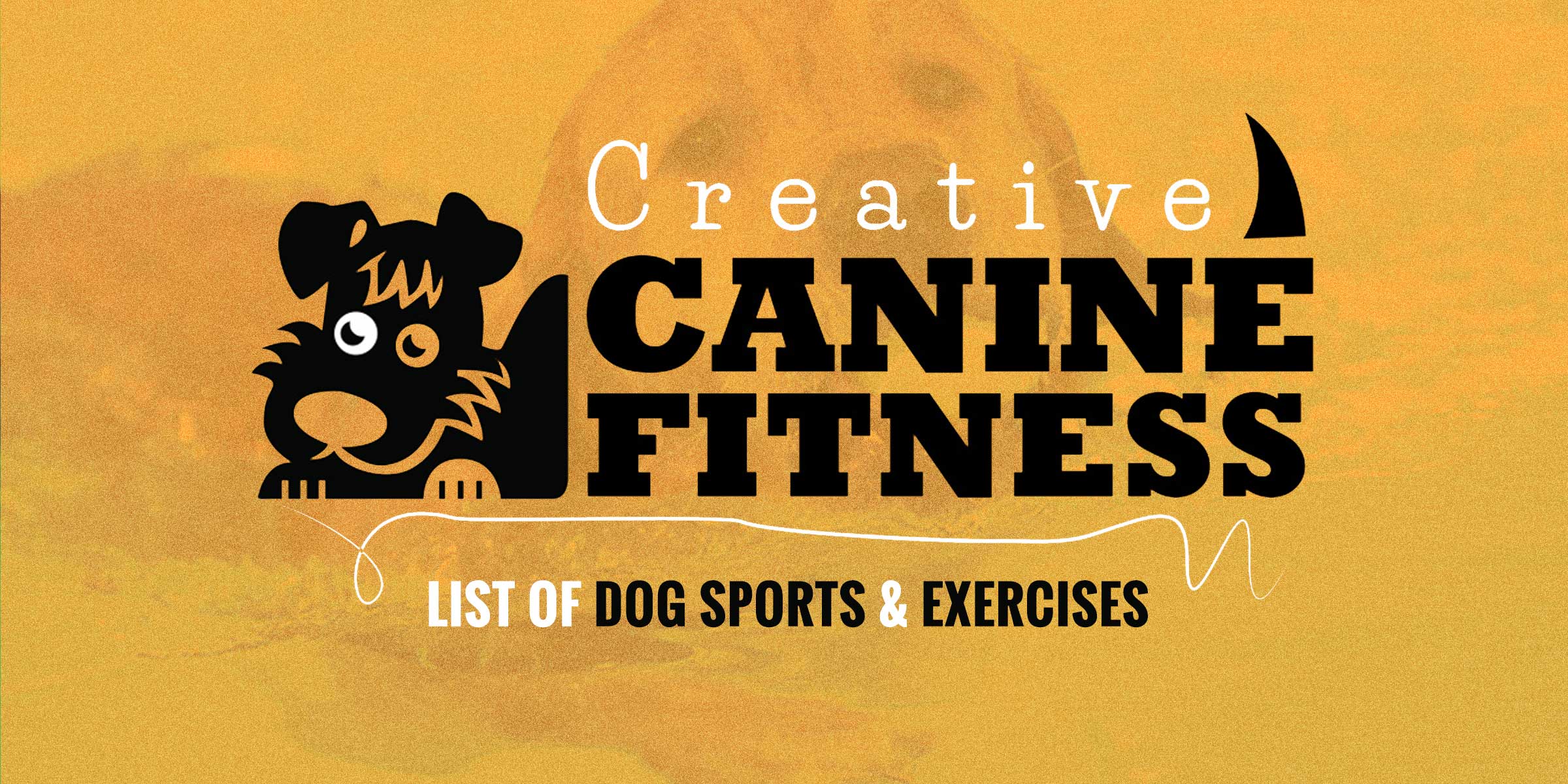 14+ Exercises for Dogs to Workout Indoors and Outdoors