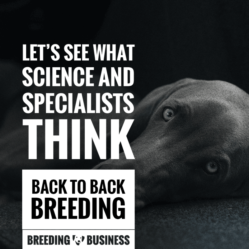 Back to back breeding is a case by case situation.