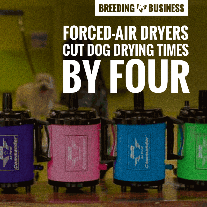 Forced-air dryers drying time