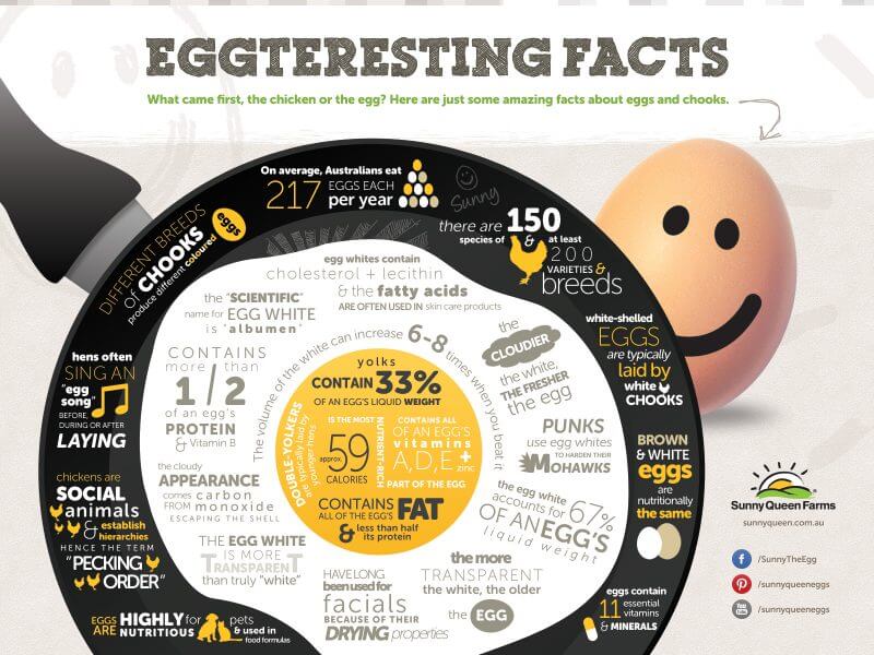 egg nutritional facts infographic