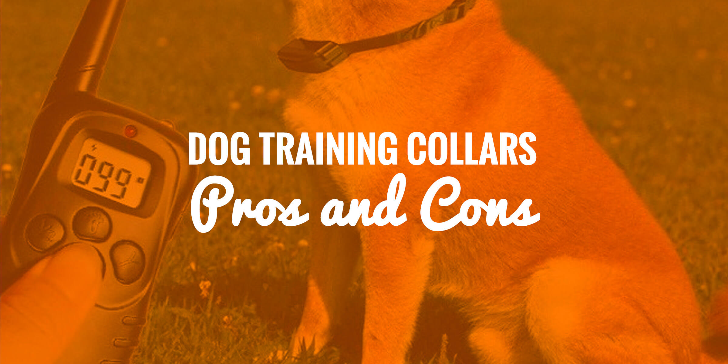 Pros Cons Of Dog Shock Collars Training And Barking   Pros Cons Dog Shock Collars 