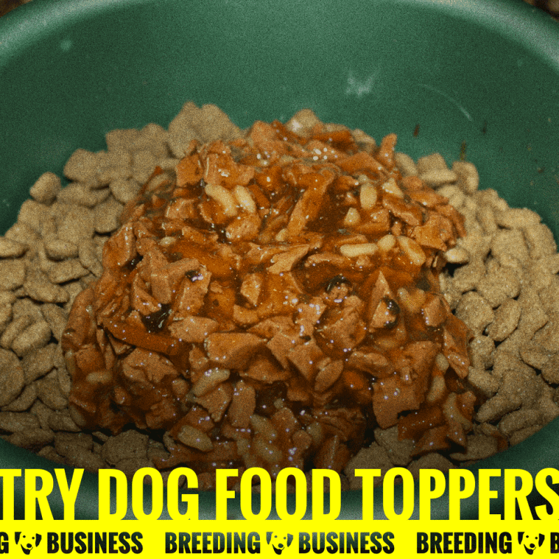 Best Dog Food Toppers — Buying Guide — Breeding Business