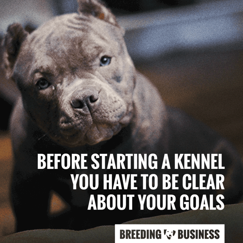 What are your dogs going to bring to the table?