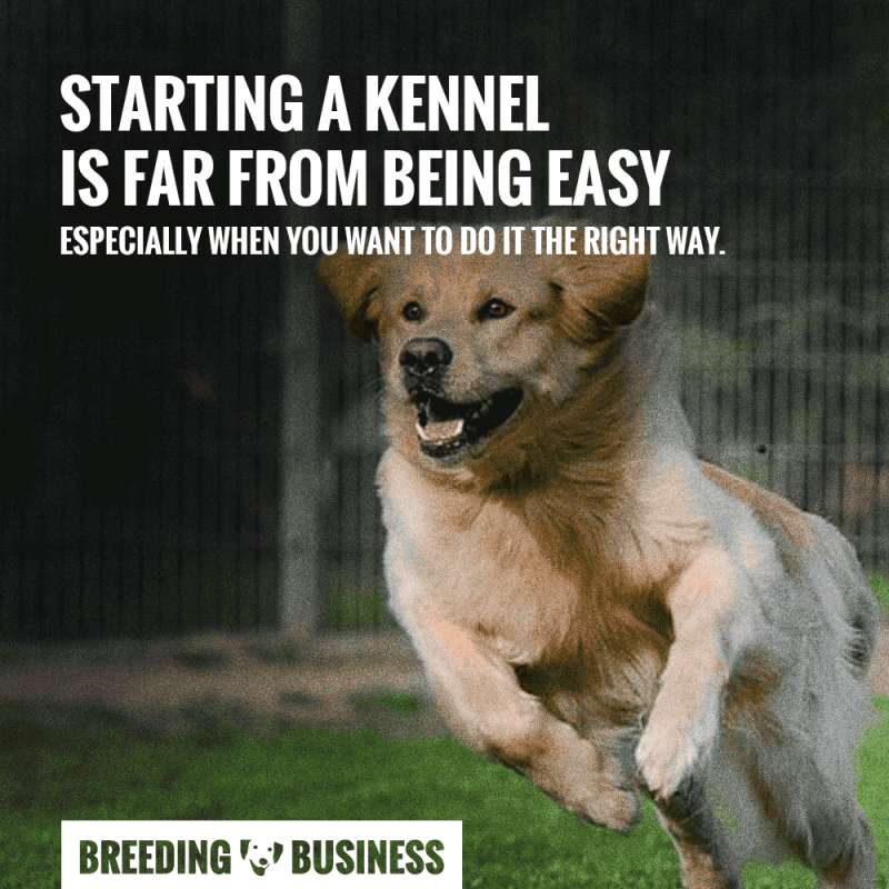 Starting a kennel is hard!
