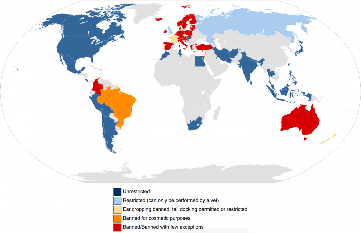 tail docking and ear cropping legal status by country