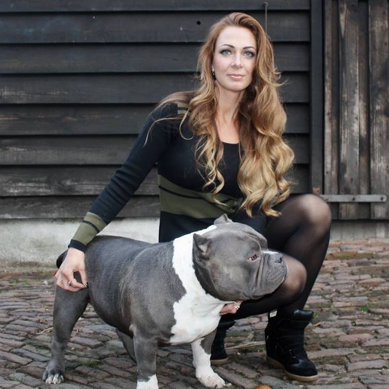 american bully interview