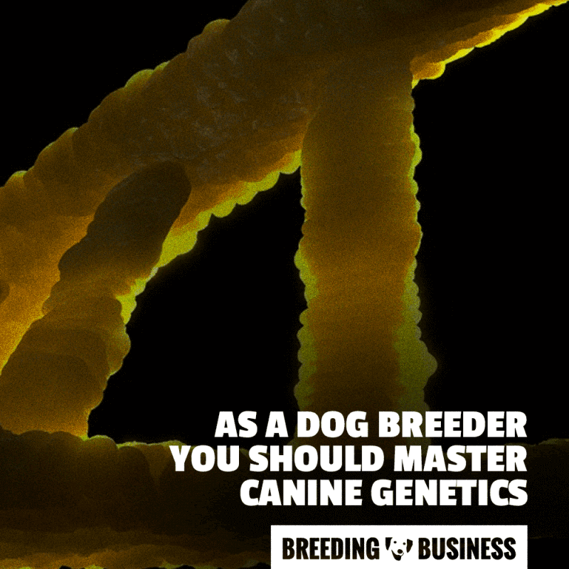 dog breeders and canine genetics