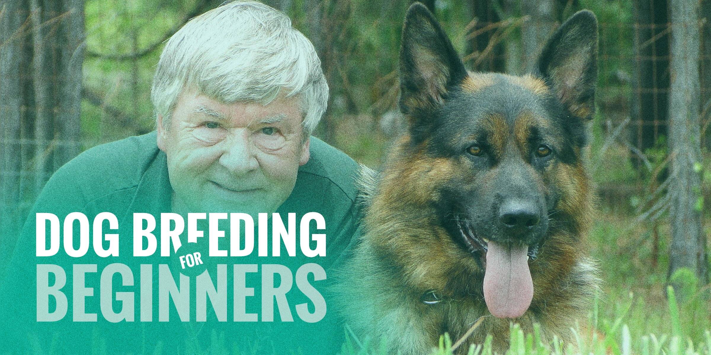 Dog Breeding For Beginners What You Need To Know