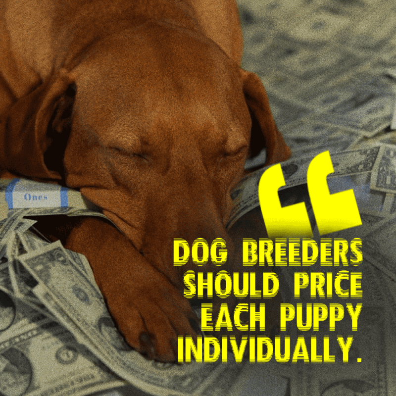 As sad as it sounds, some of your puppies are worth less than others.