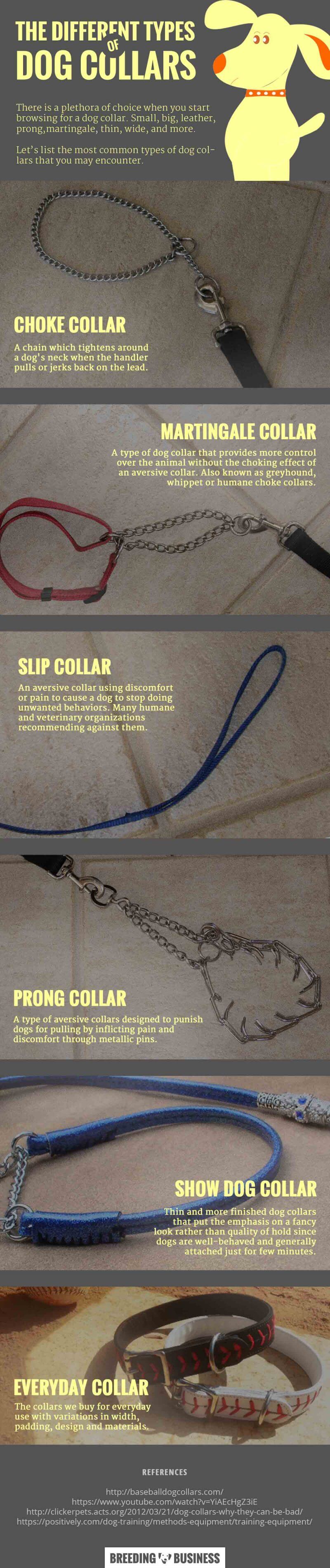 types of dog collars - infographics
