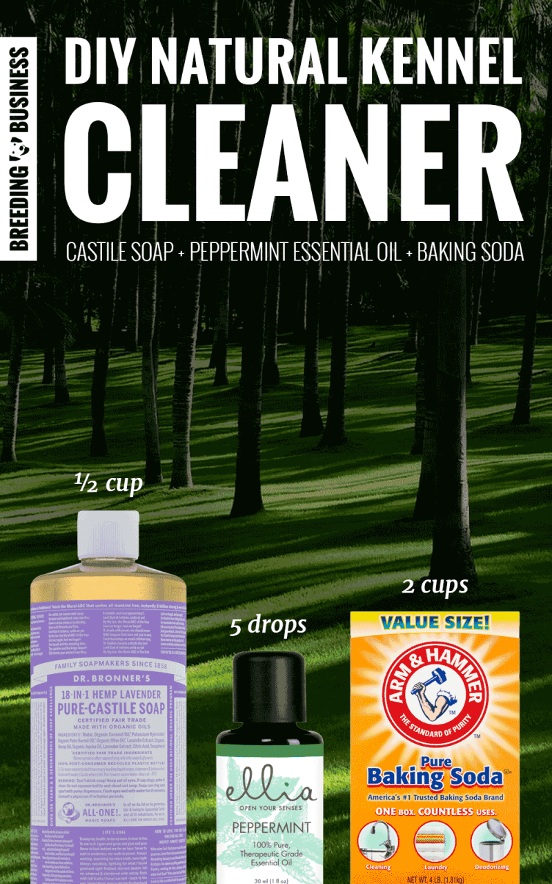 homemade natural kennel cleaner