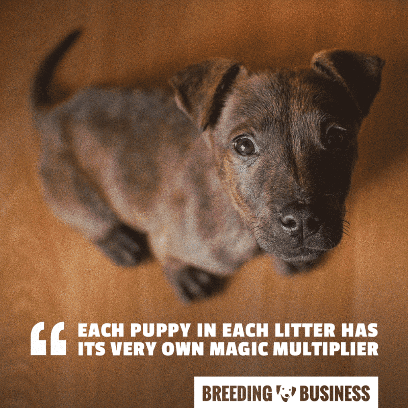 pricing puppy magic multiplier
