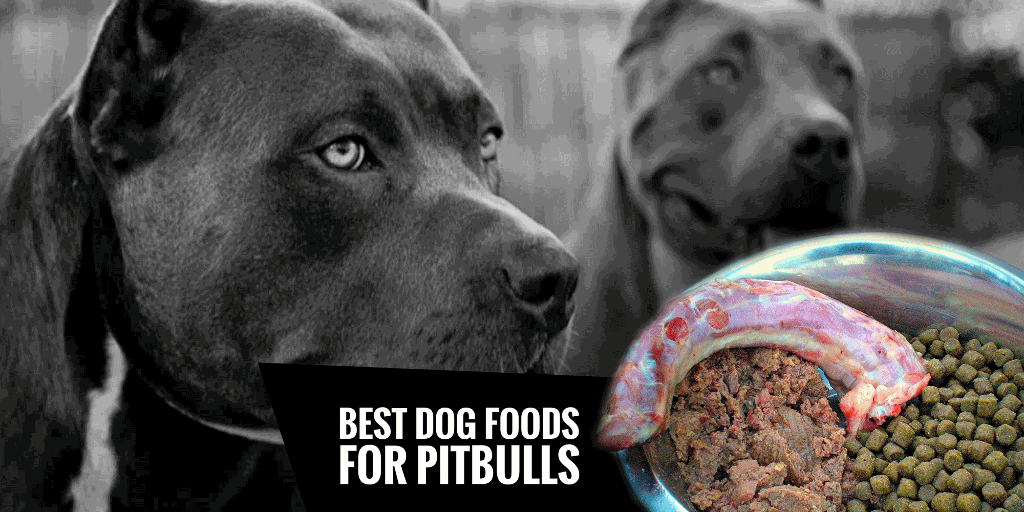 4 Best Dog Foods for Pitbulls — Natural, High Protein, Low Fat