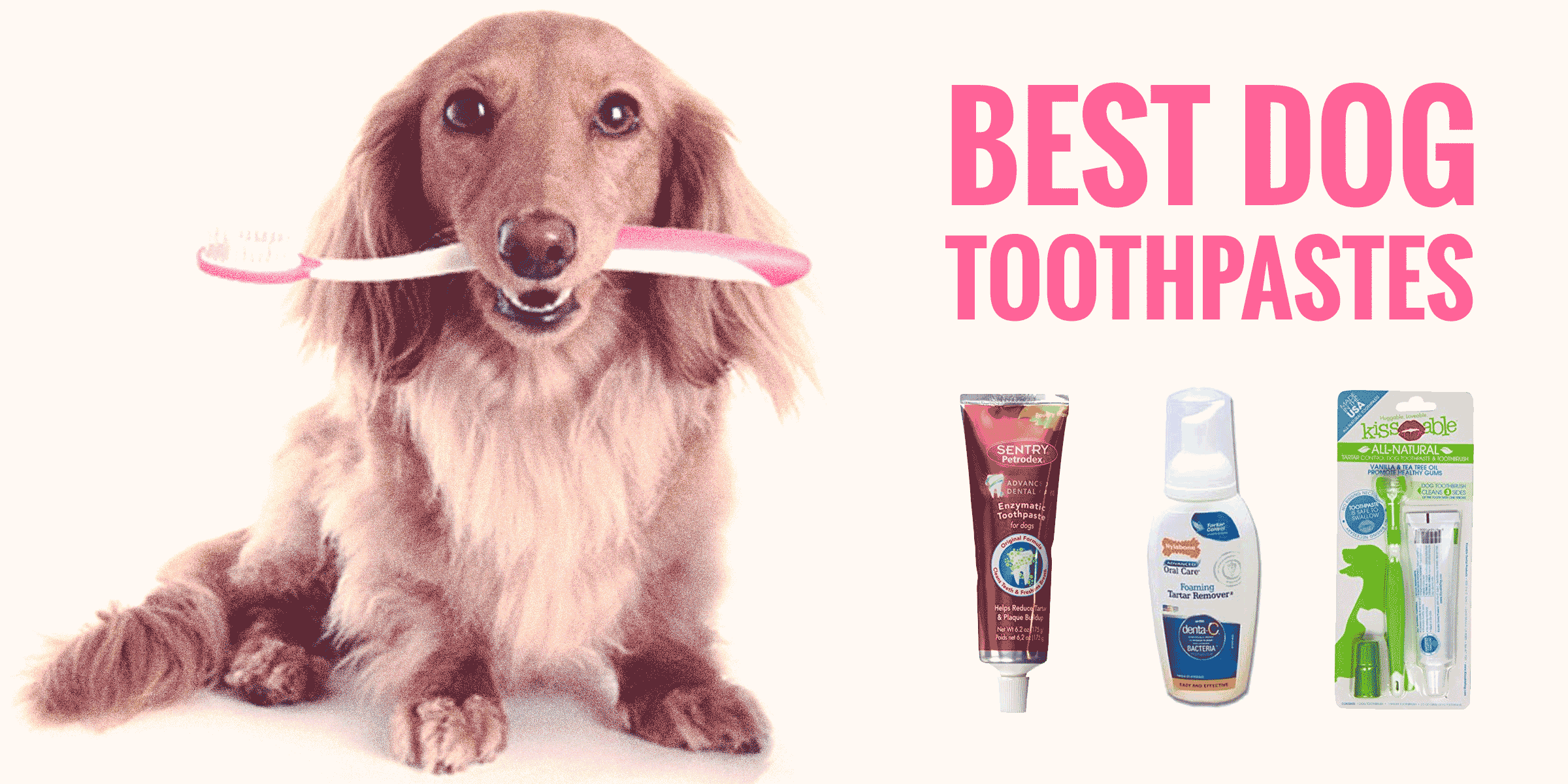 safe dog toothpaste