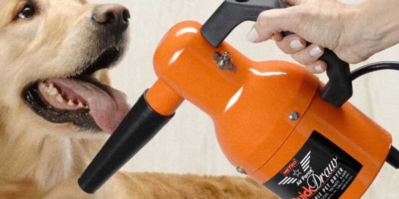 dog blow dryer