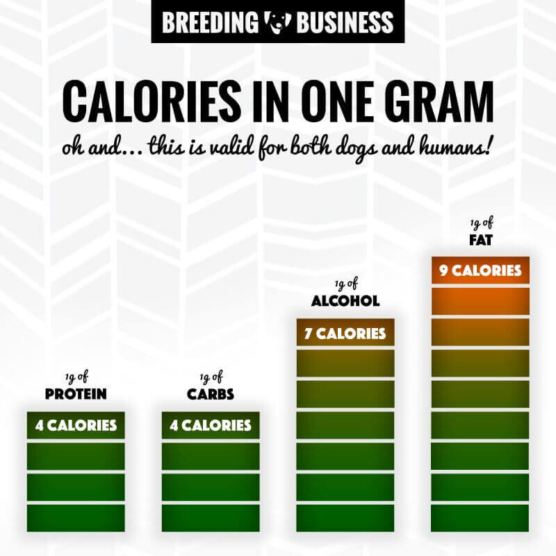 calories in one gram of protein, carbohydrates, alcohol and fat