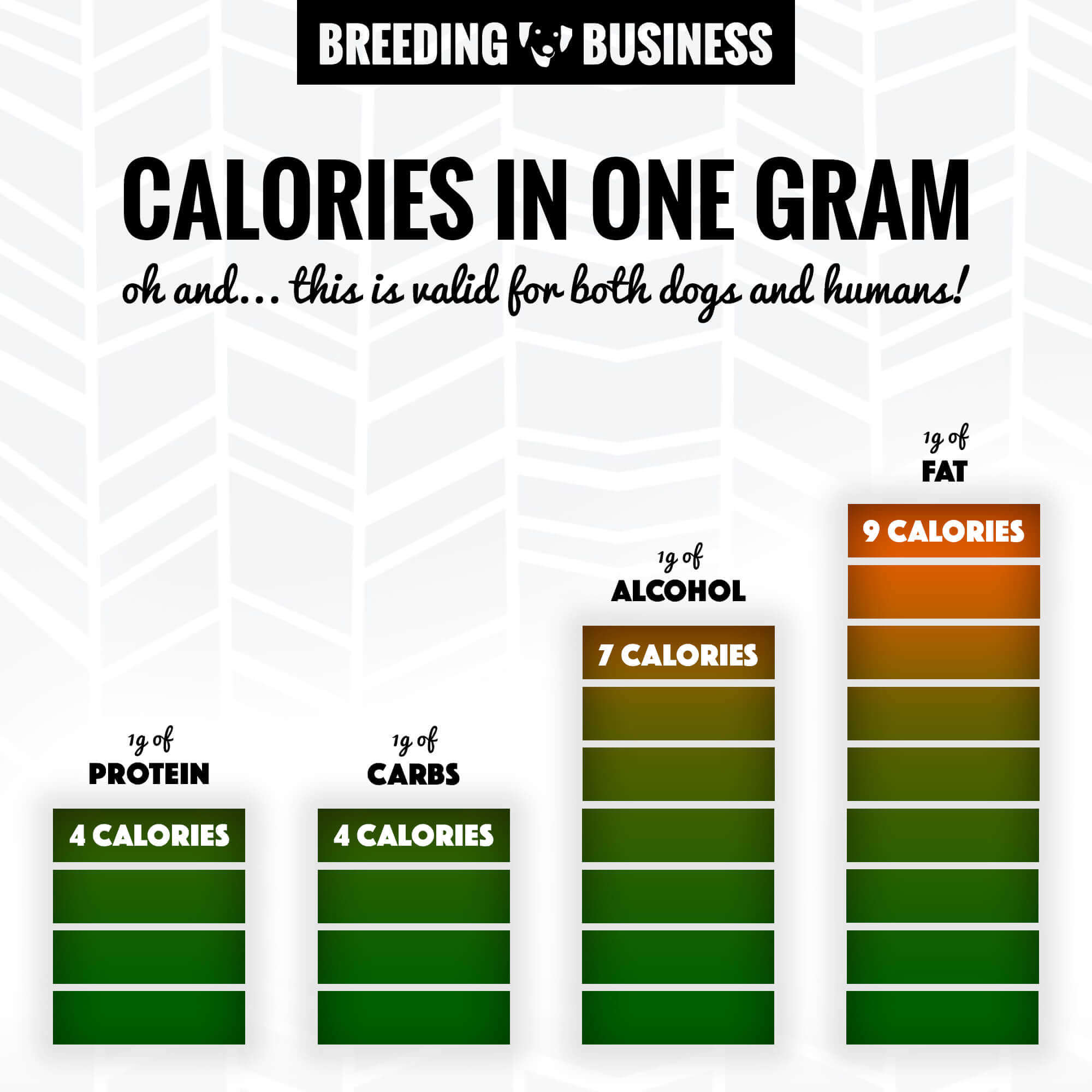 calories in one gram of protein, carbohydrates, alcohol and fat