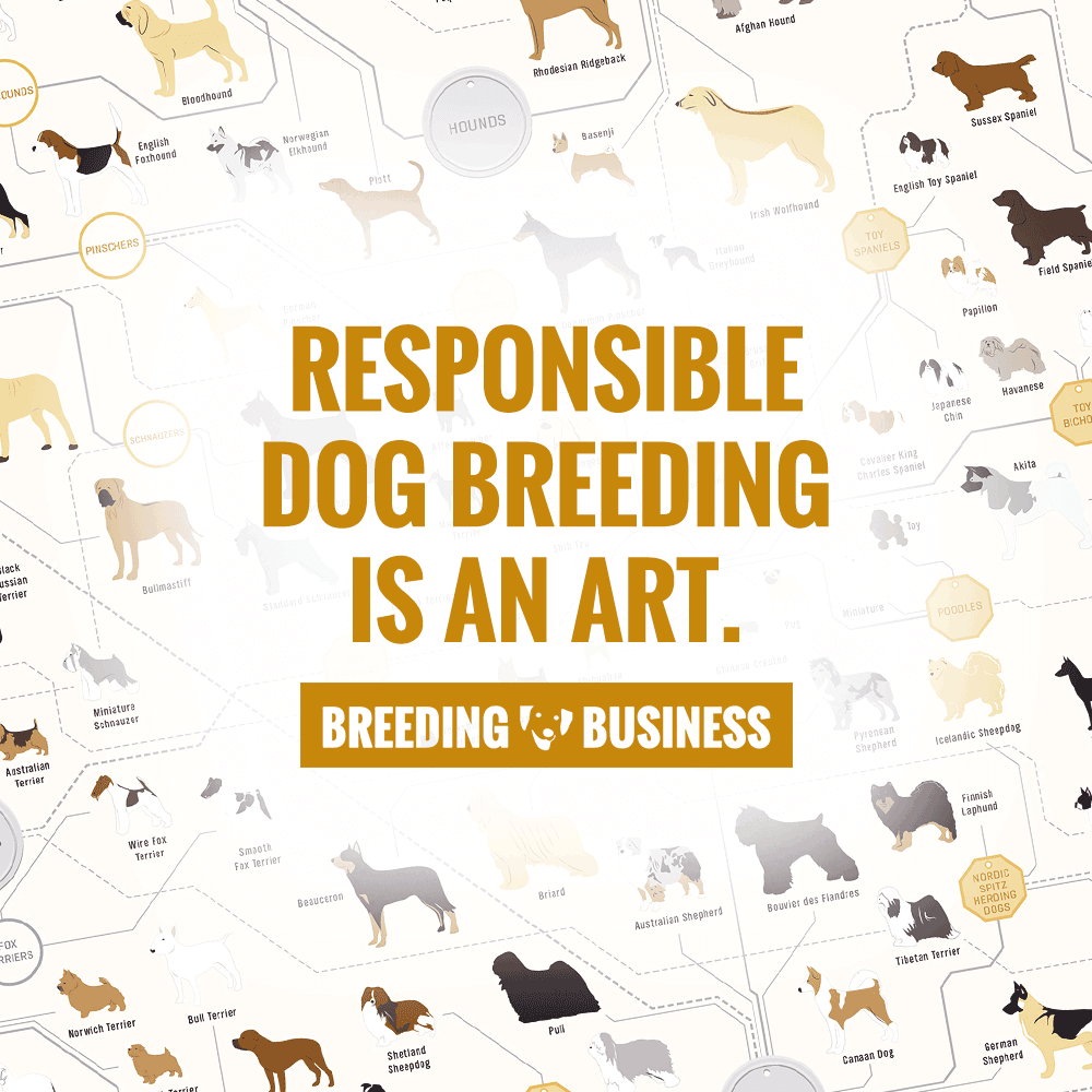 dog breeding