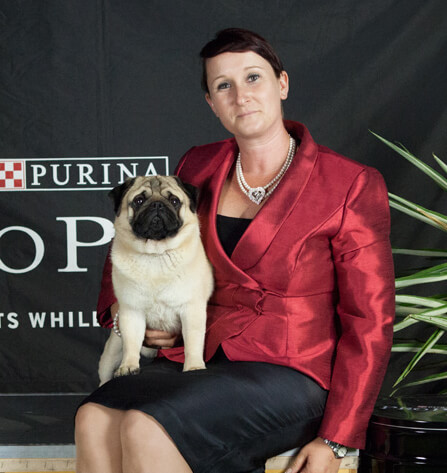 Jenny and Gipper, the first American Grand Champion Pug to come to Australia.