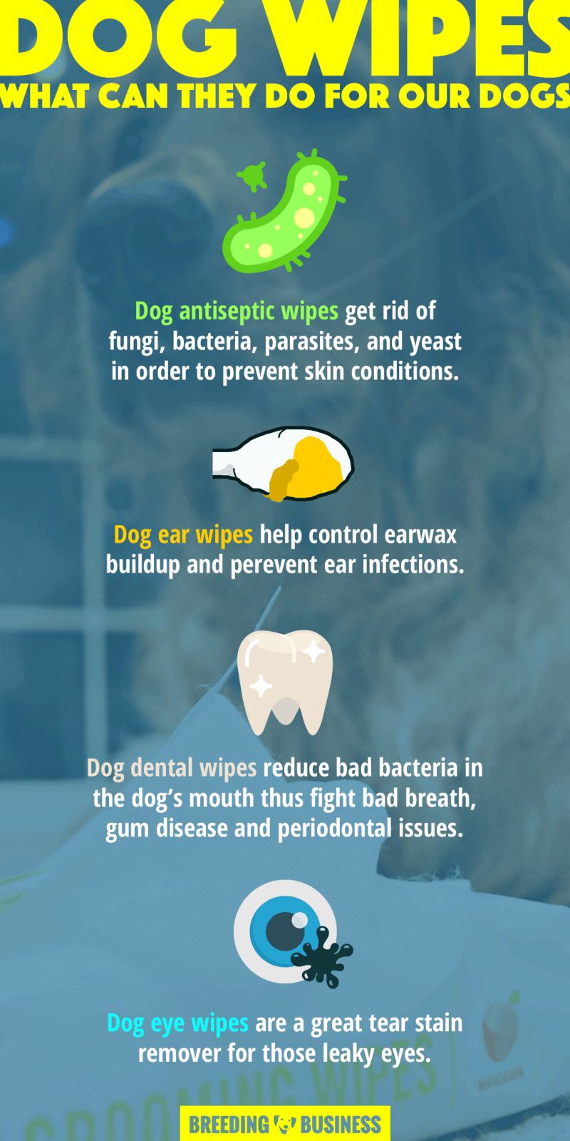 Benefits the best dog wipes have! (infographic)