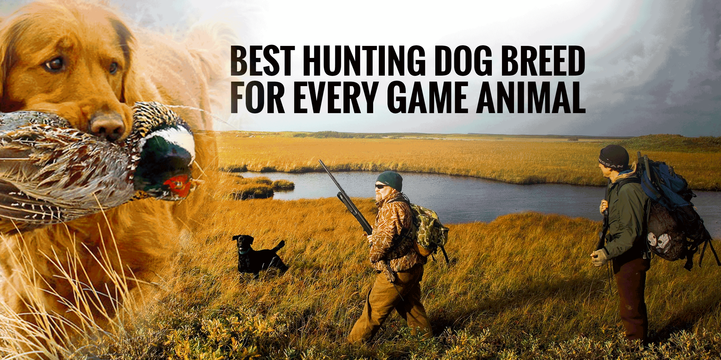 best big game hunting dogs