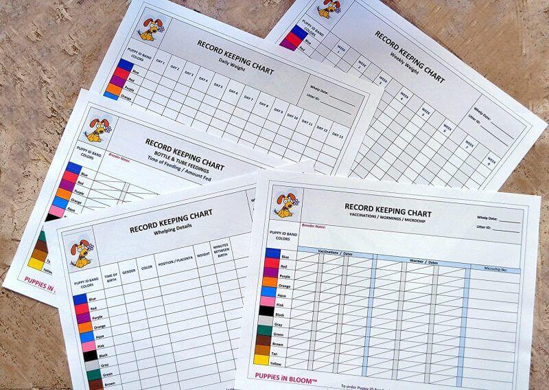 Record Keeping Charts for Breeders — FREE Printable Puppy Forms