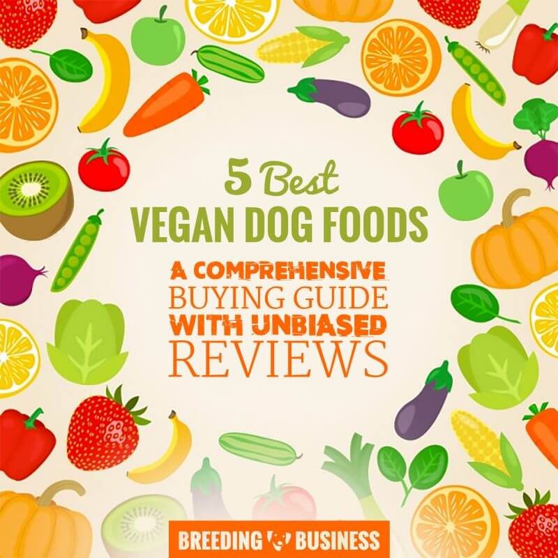 Reviews of Best Vegan Dog Foods
