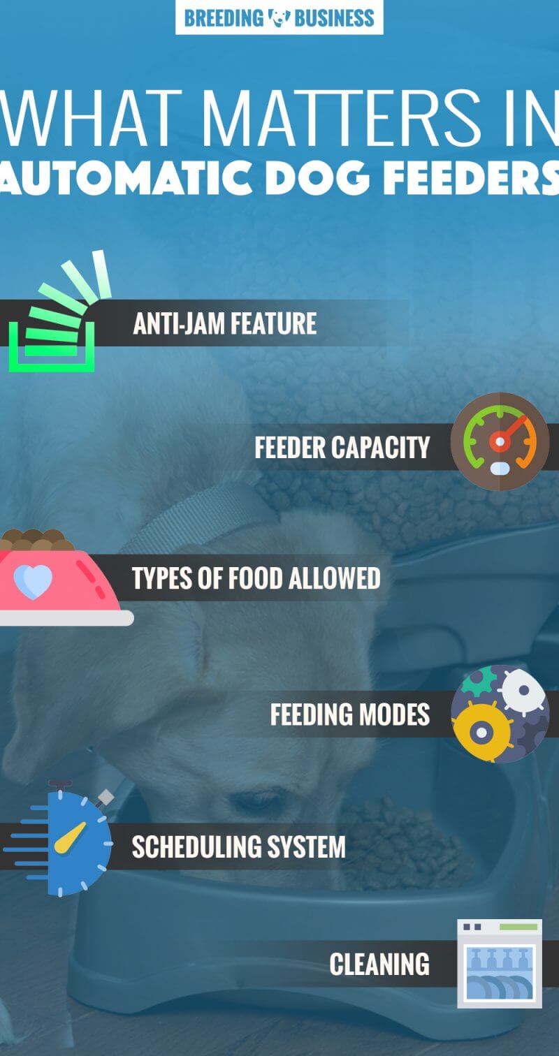 features of automatic dog feeders