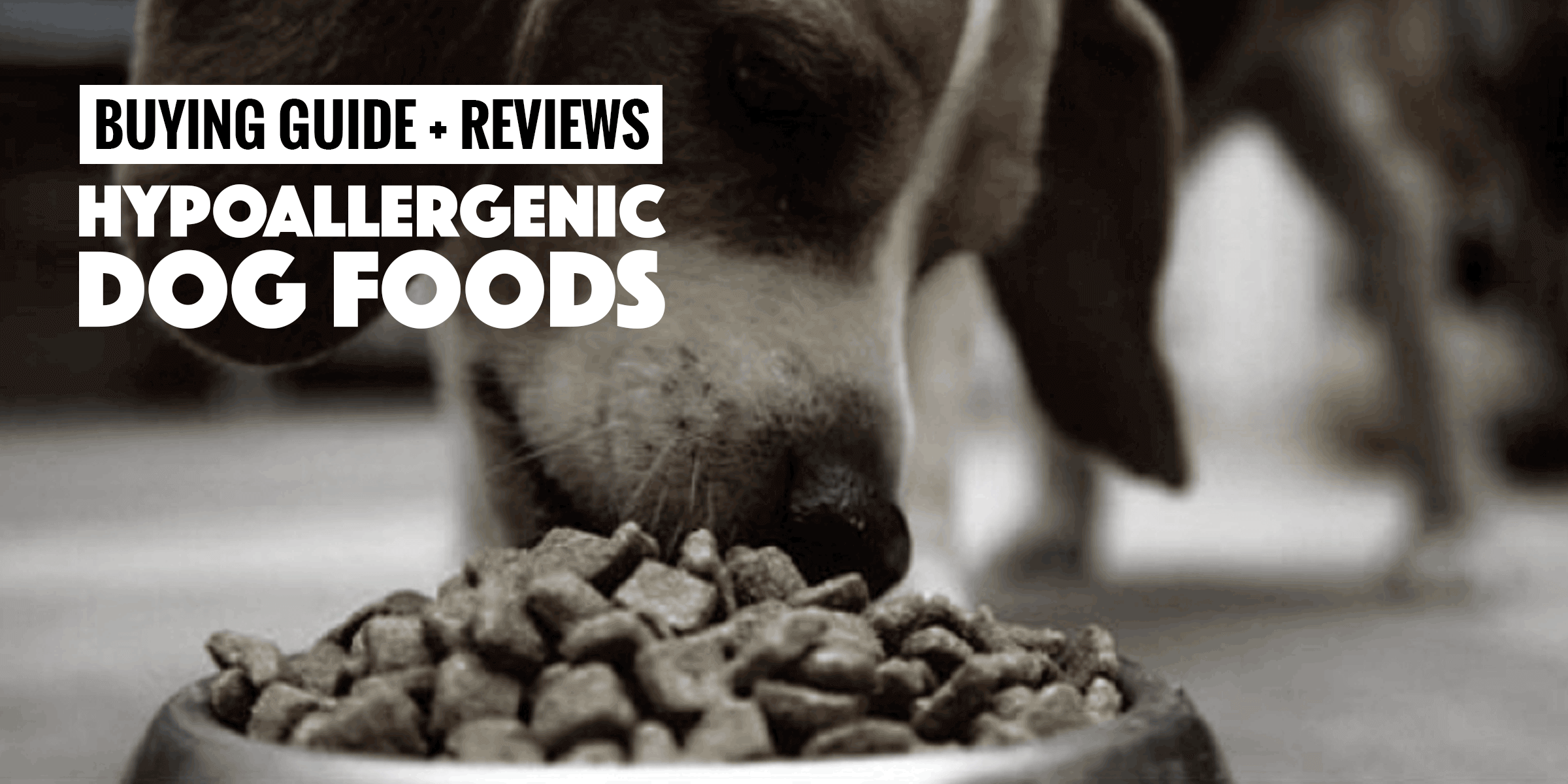 top-5-best-hypoallergenic-dog-foods-buying-guide-and-reviews