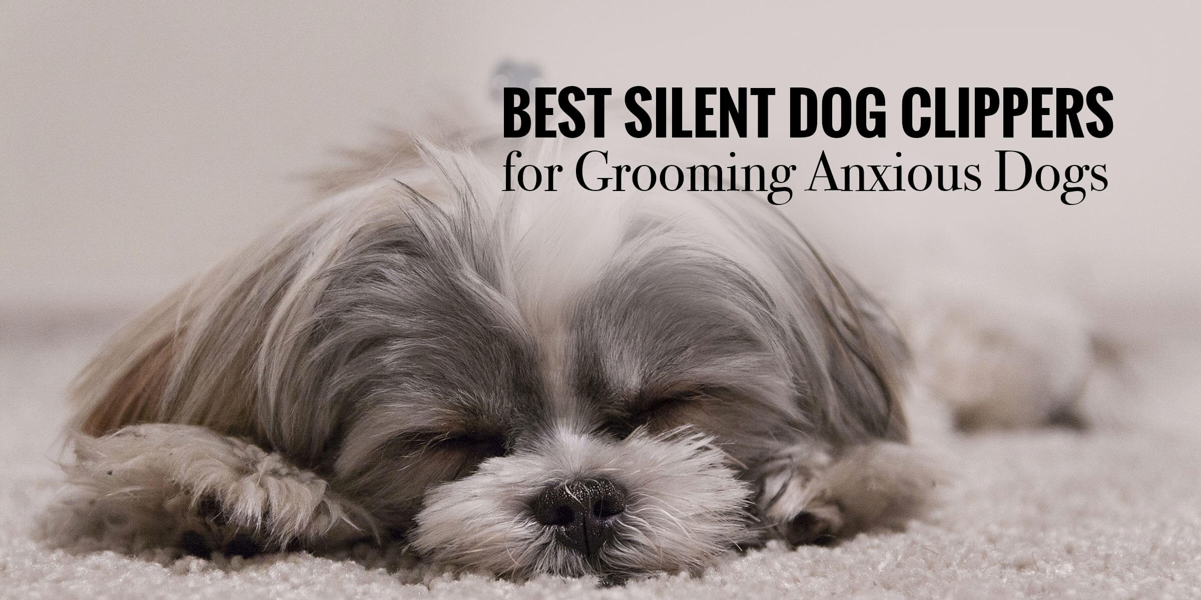 top 5 dog grooming clippers