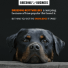Guide to Rottweiler Breeding — Health, Best Practices and Future