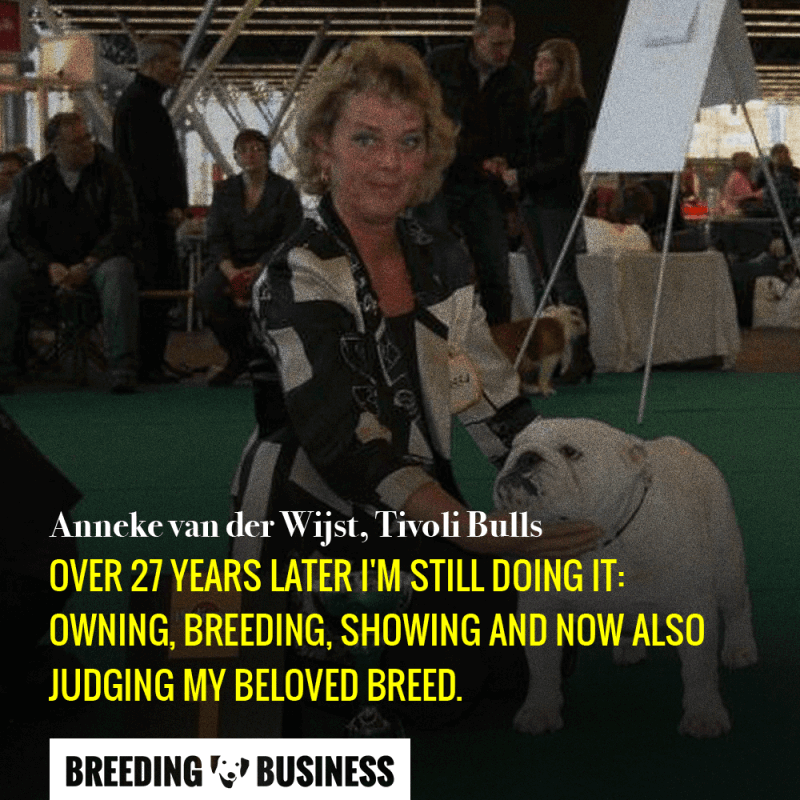 Anneke van der Wijst has experience with breeding, showing, and judging English Bulldogs.