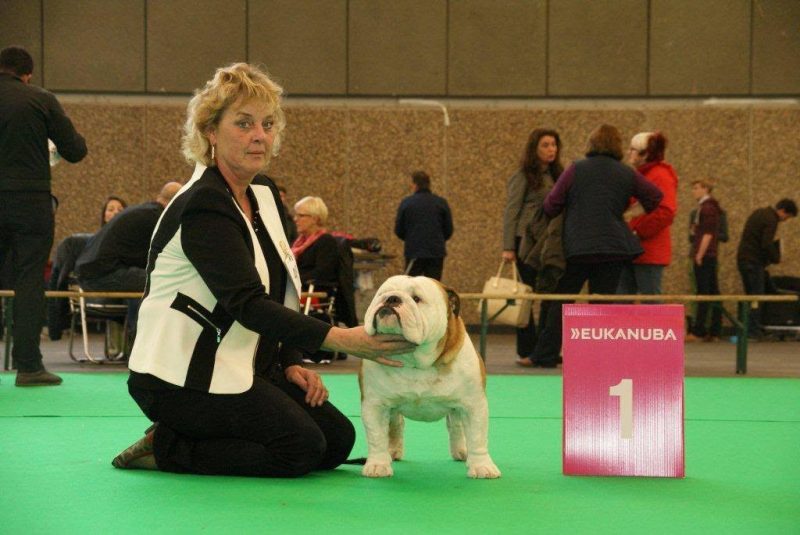 anneke (from tivoli bulls) at a dog show