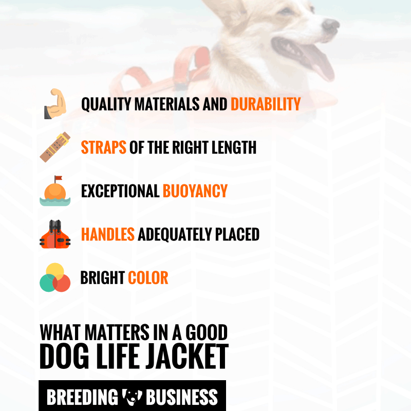 best dog life jacket features