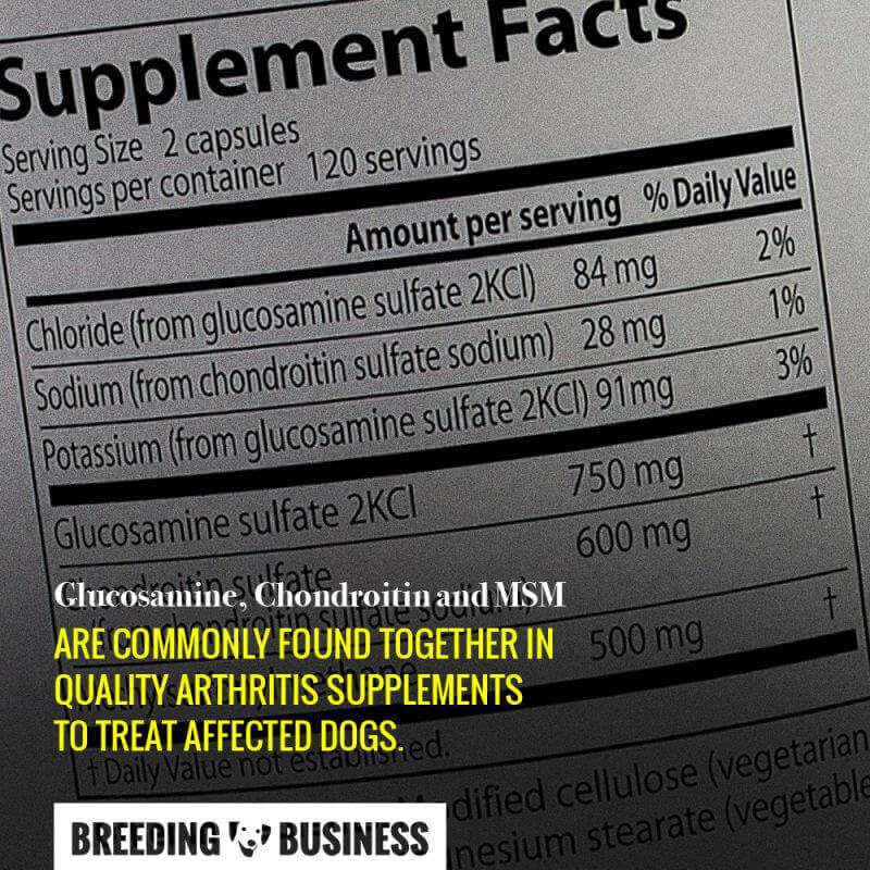 glucosamine chondroitin msm for dogs