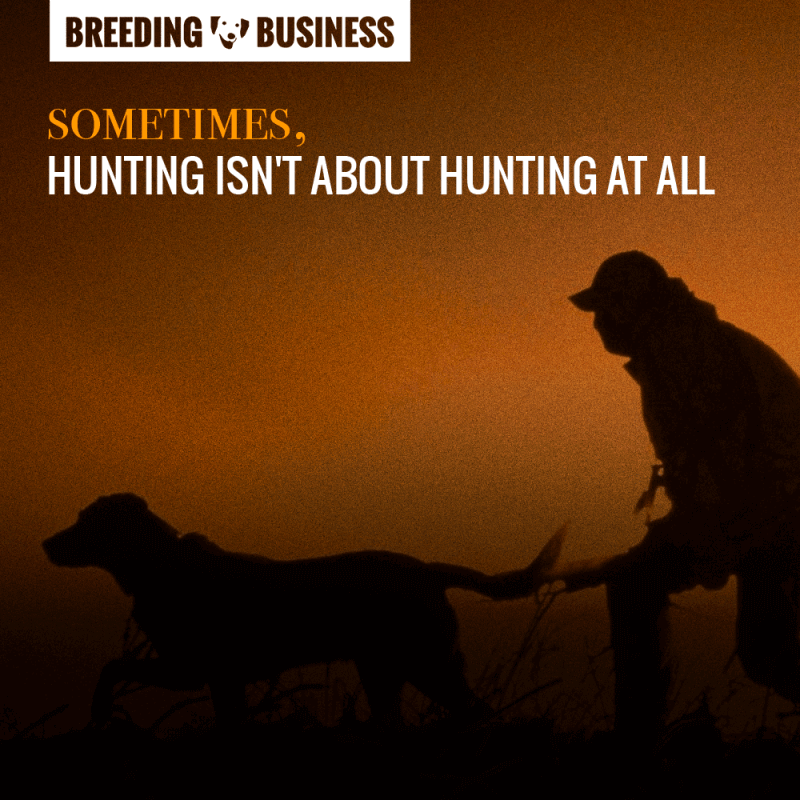 hunting dogs quote