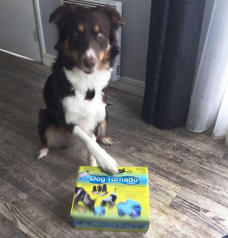 nina ottosson dog tornado unboxing