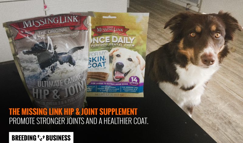 the missing link joint hip supplement