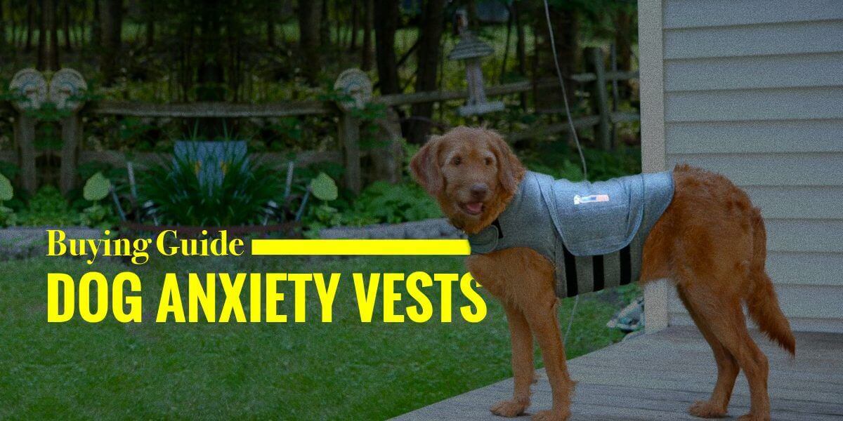 best thunder shirts for dogs