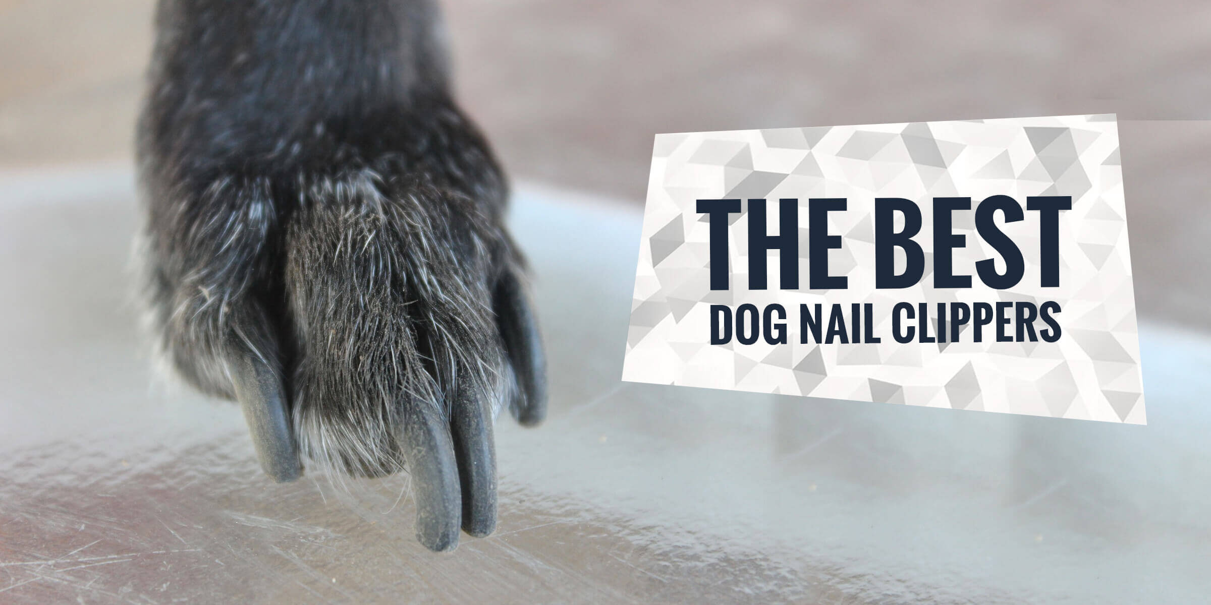 best dog nail clippers for large dogs