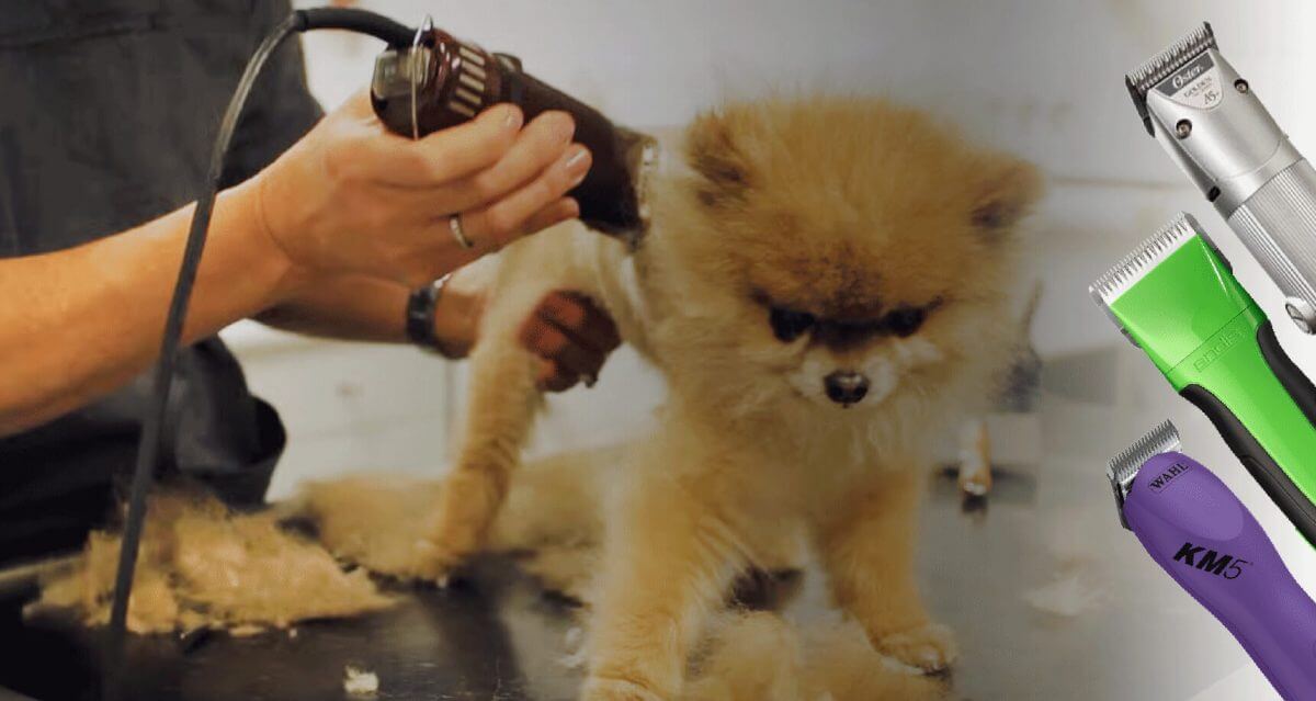 the best professional dog grooming clippers