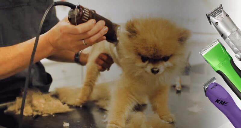 dog grooming cutters
